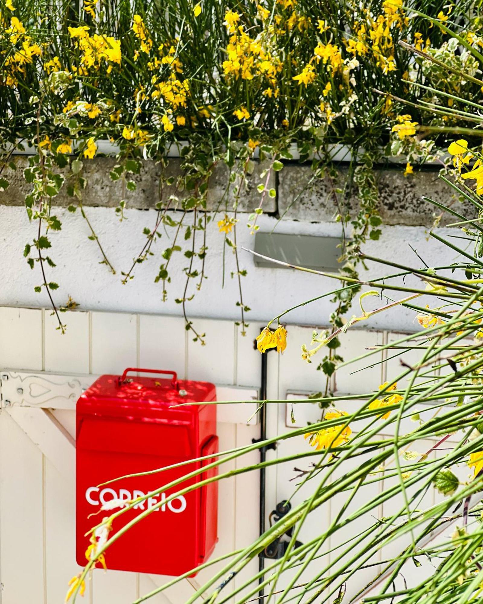 Coimbraameias 외부 사진